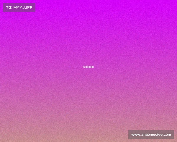 6道会所造型菜 6道会所造型菜