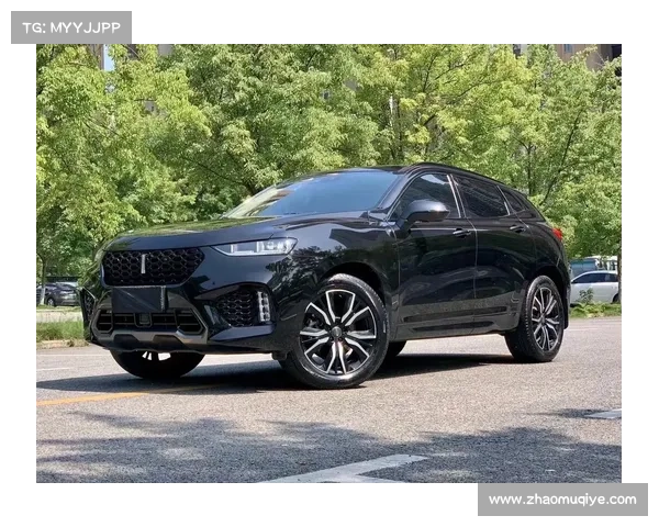 WEY VV7出新款,配置又升级,空间超大,售价接近20万 WEY VV7出新款,配置又升级,空间超大,售价接近20万