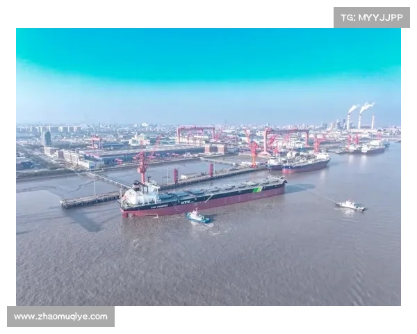 “海蓝宝石”号在沪起航 外高桥造船暂别“好望角” “海蓝宝石”号在沪起航 外高桥造船暂别“好望角”